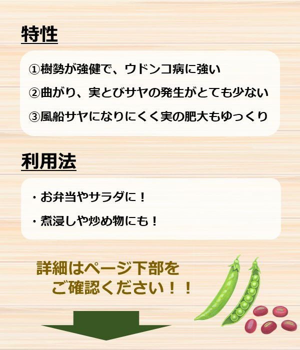 アサヒ育成 峰ささ（サヤエンドウの種）|固定種 在来種に強い 野菜の