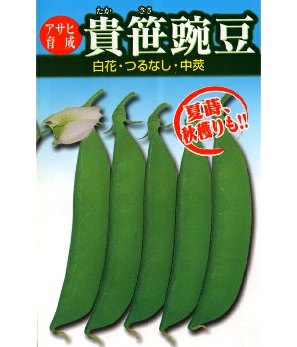 アサヒ育成 巨笹エンドウ豆（サヤエンドウの種）|固定種 在来種に強い