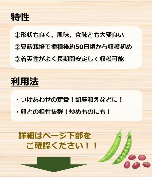 アサヒ育成 貴笹エンドウ豆(サヤエンドウの種)|固定種 在来種に強い アサヒ育成 貴笹エンドウ豆(サヤエンドウの種)|固定種 在来種に強い