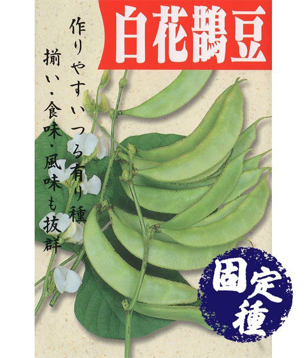 白大刀豆（なた豆の種）【固定種】|固定種 在来種に強い 野菜のタネ