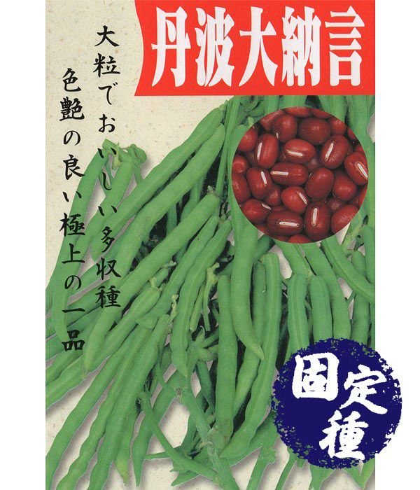 丹波大納言小豆（その他 豆類の種）【固定種】|固定種 在来種に強い