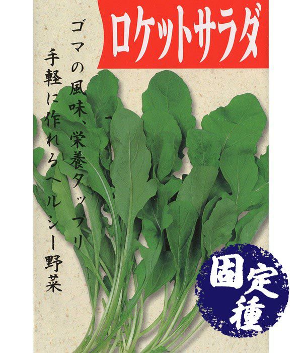 アサヒ育成 大粒 めぐろ王（枝豆の種）|固定種 在来種に強い 野菜の