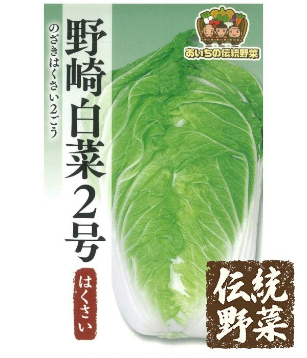 あいちの伝統野菜 野崎白菜2号（ハクサイの種）|固定種 在来種に強い