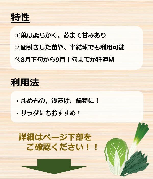 あいちの伝統野菜 野崎白菜2号（ハクサイの種）|固定種 在来種に強い