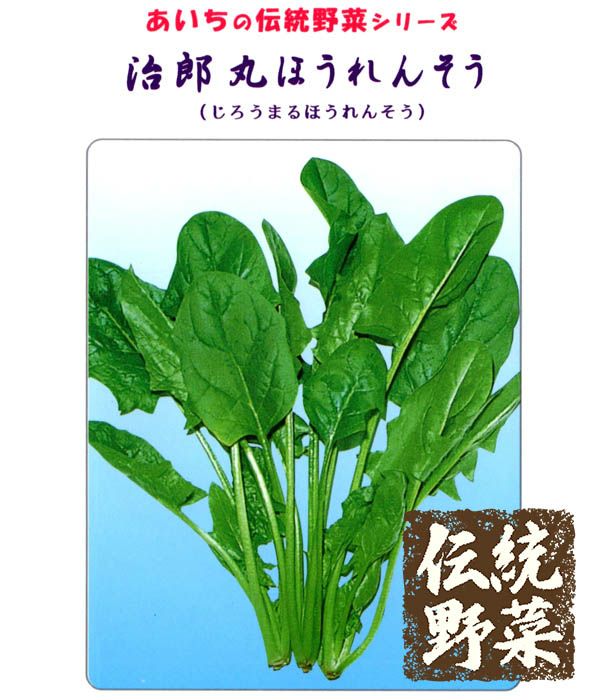 ほうれんそうページ あいちの伝統野菜 治郎丸ほうれんそう（ほうれん草の種）|固定種 在来