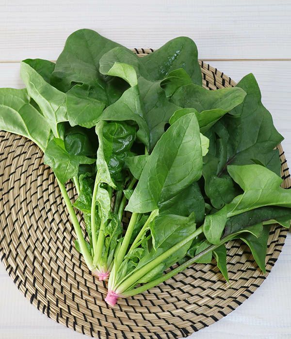 あいちの伝統野菜 治郎丸ほうれんそう（ほうれん草の種）|固定種 在来