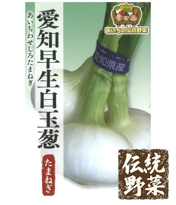 あいちの伝統野菜 愛知早生白玉葱（たまねぎの種）|固定種 在来種に