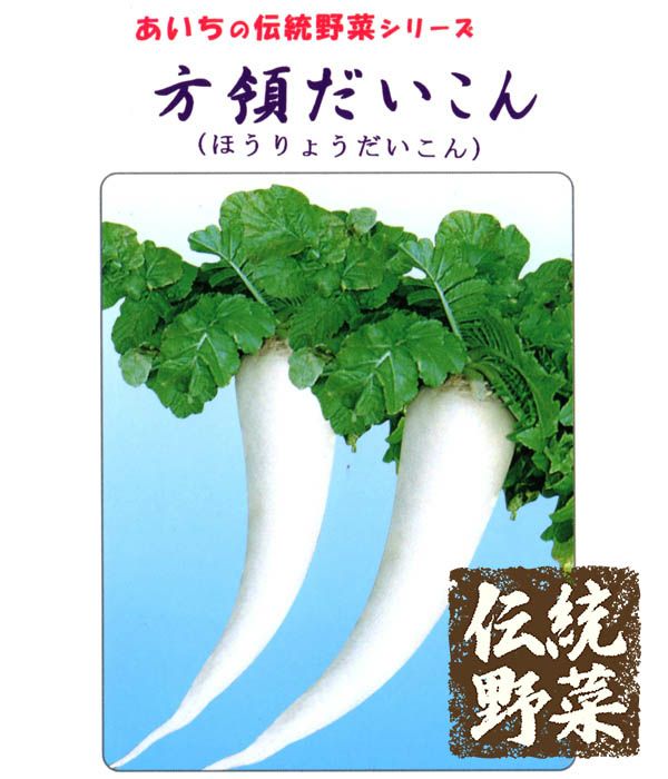 あいちの伝統野菜 方領大根（だいこんの種）|固定種 在来種に強い 野菜