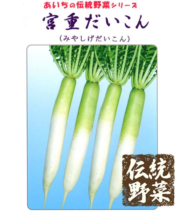 あいちの伝統野菜 宮重大根（だいこんの種）|固定種 在来種に強い 野菜