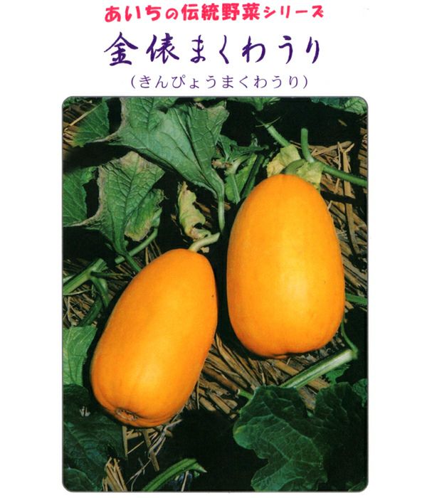 あいちの伝統野菜 金俵まくわ瓜（マクワの種）|固定種 在来種に強い