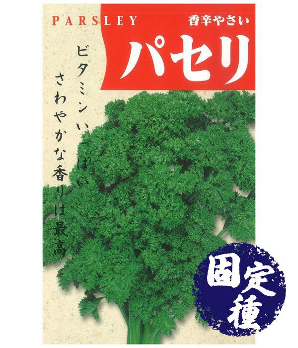 パセリ（パセリの種）【固定種】|固定種 在来種に強い 野菜のタネ専門