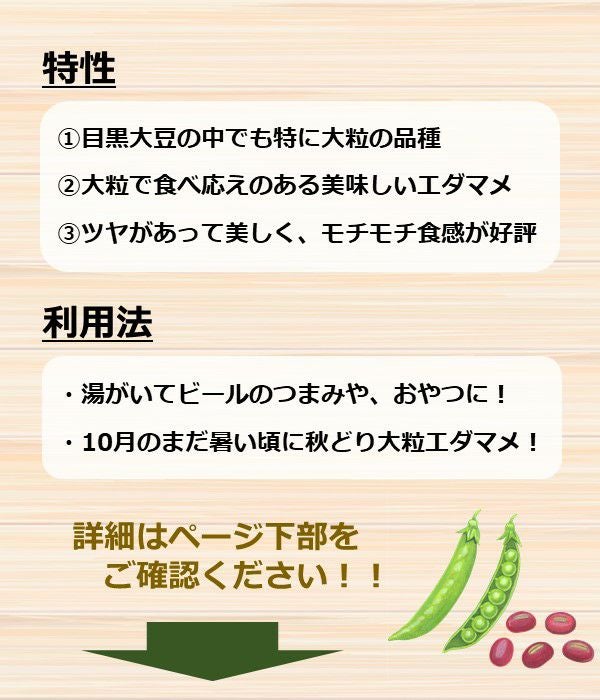 アサヒ育成 大粒 めぐろ王（枝豆の種）|固定種 在来種に強い 野菜の