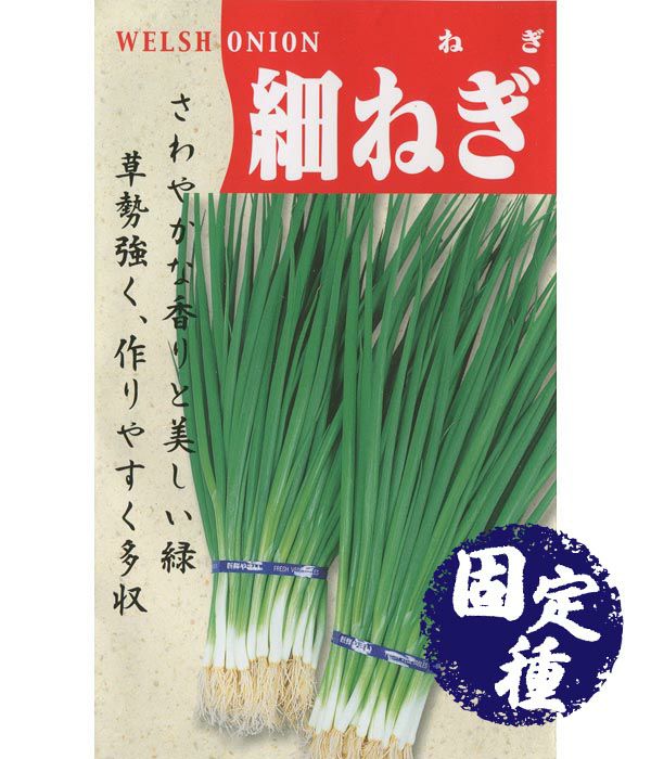 000000000246-01.jpg?size=l&w=