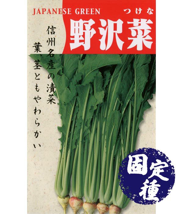 アサヒ育成 大粒 めぐろ王（枝豆の種）|固定種 在来種に強い 野菜の