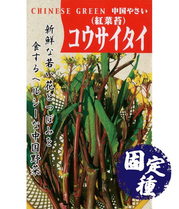紅菜苔（ｺｳｻｲﾀｲの種）(葉菜類の種）【固定種】|固定種 在来種に強い