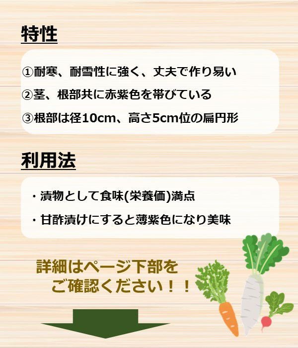 木曽紫蕪（かぶの種）【固定種】|固定種 在来種に強い 野菜のタネ専門