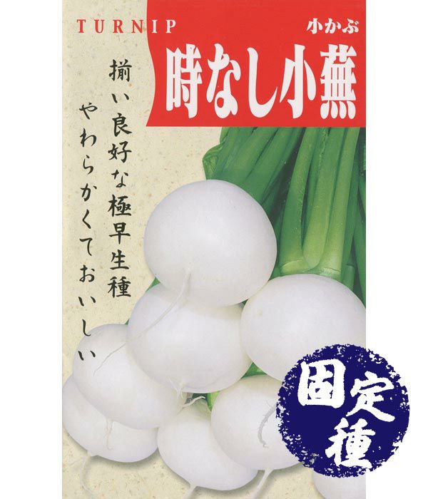 次郎丸（ほうれん草の種）【固定種】|固定種 在来種に強い 野菜のタネ