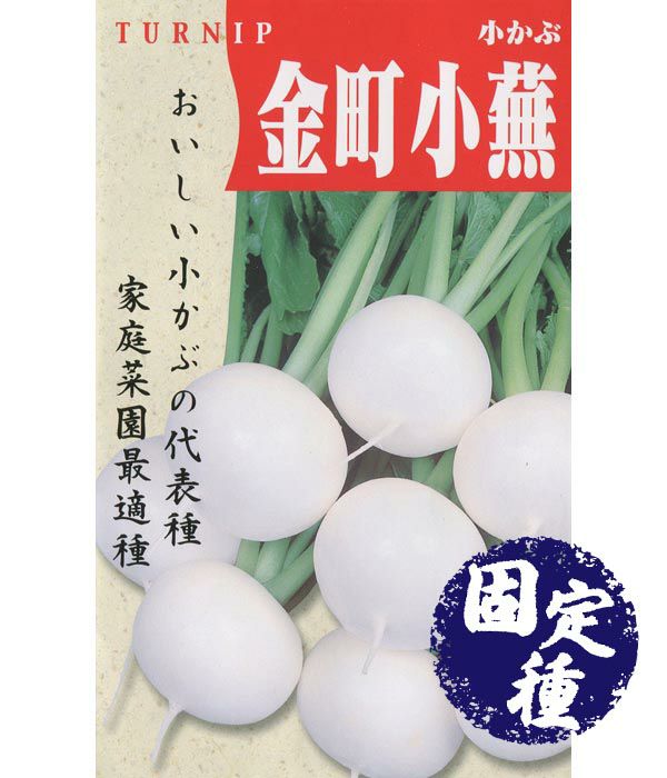 金町小蕪（かぶの種）【固定種】