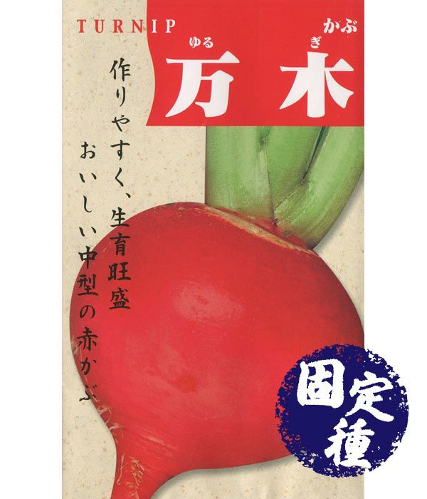 万木蕪（かぶの種）【固定種】|固定種 在来種に強い 野菜のタネ専門