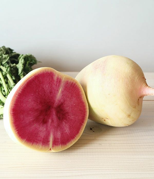 紅芯大根(ダイコンの種）【固定種】|固定種 在来種に強い 野菜のタネ