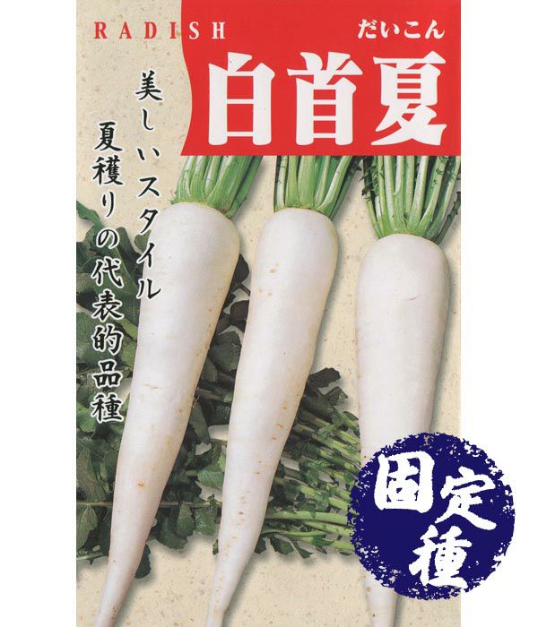 白首夏大根（ダイコンの種）【固定種】|固定種 在来種に強い 野菜の