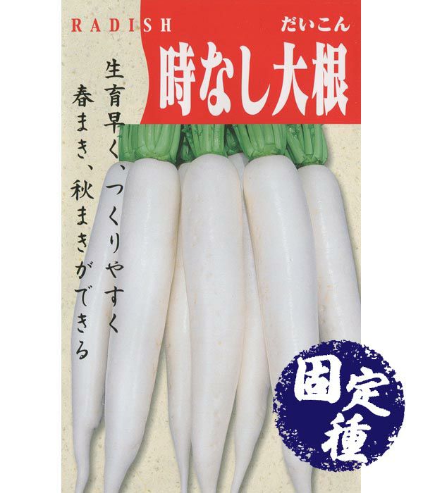 時無し大根（ダイコンの種）【固定種】|固定種 在来種に強い 野菜の
