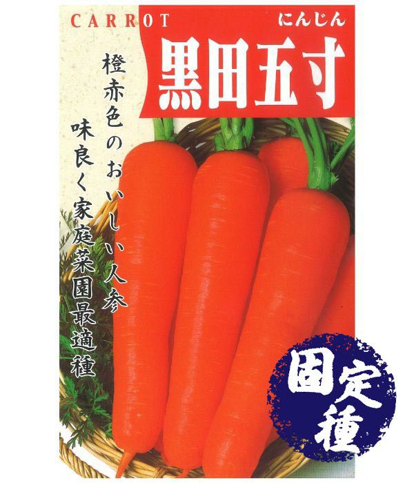 000000000271-01.jpg?size=l&w=