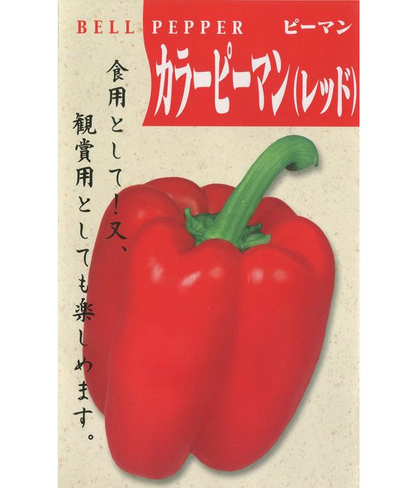 一代交配 カラーピーマン（レッド）（パプリカの種）|固定種 在来種に