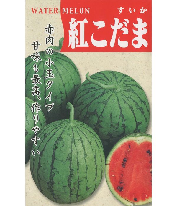 F1紅こだま西瓜(スイカの種）|固定種 在来種に強い 野菜のタネ専門通販