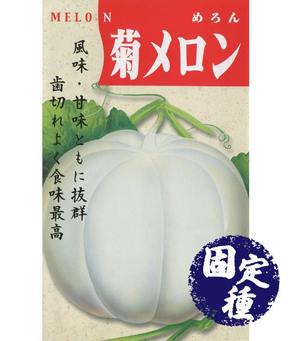 菊メロン（メロンの種）【固定種】|固定種 在来種に強い 野菜のタネ