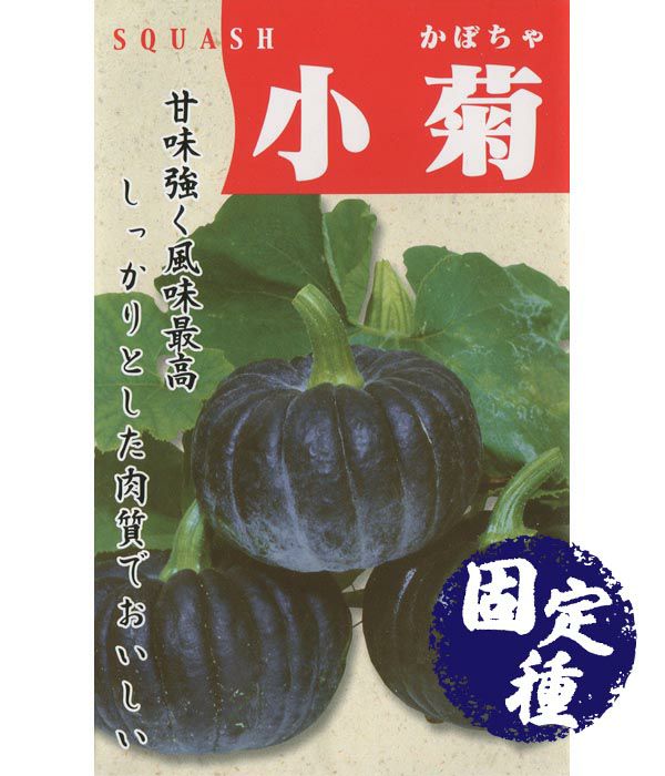 カボチャ|固定種 在来種に強い 野菜のタネ専門通販サイト|アサヒのぐるたね