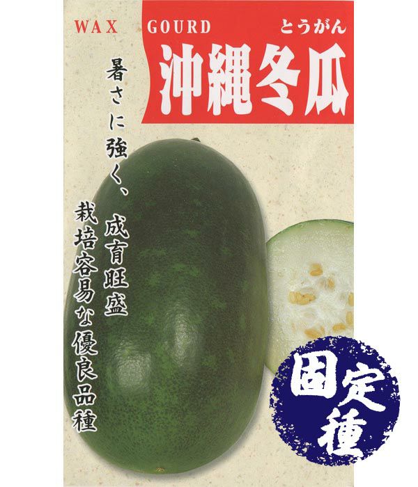沖縄冬瓜（とうがんの種）【固定種】