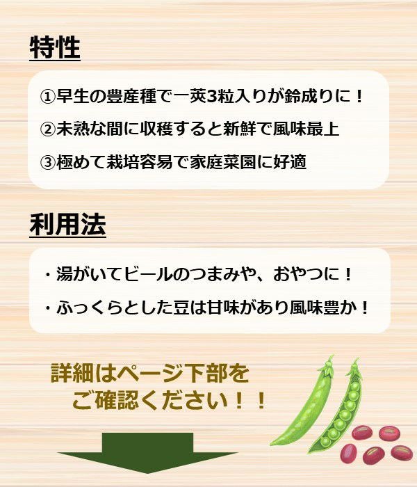 早生みどり枝豆（エダマメの種）【固定種】|固定種 在来種に強い 野菜
