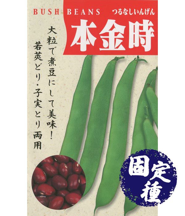 アサヒ育成 大粒 めぐろ王（枝豆の種）|固定種 在来種に強い 野菜の