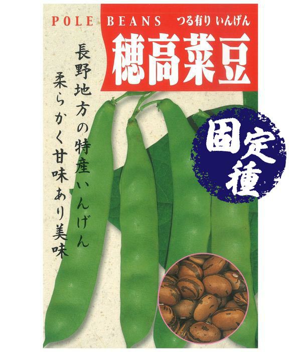 穂高菜豆（つる有りいんげんの種）【固定種】|固定種 在来種に強い