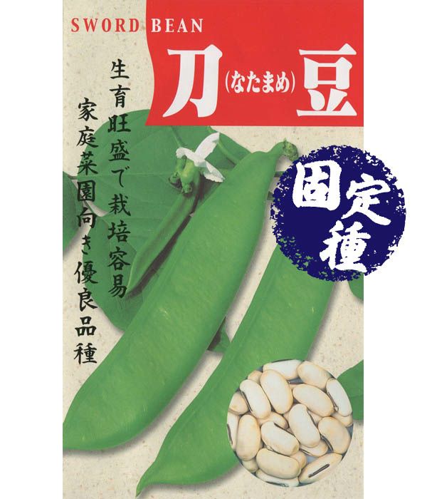 アサヒ農園　白大刀豆　 1 L 白大刀豆（なた豆の種）【固定種】|固定種 在来種に強い 野菜のタネ