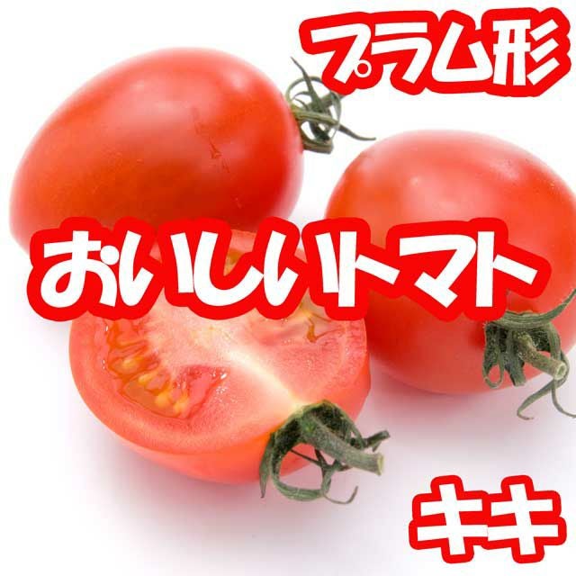 アサヒ交配 キキ(ミニトマトの種）|固定種 在来種に強い 野菜のタネ