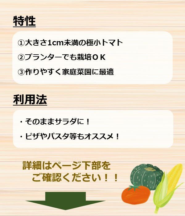 マイクロトマト様確認専用 アサヒ育成 マイクロトマト赤(トマトの種）|固定種 在来種に強い 野菜