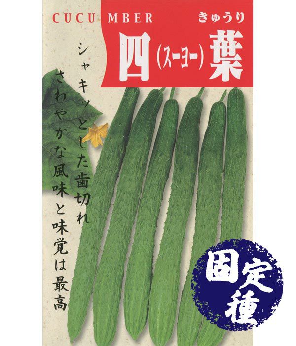 キュウリ|固定種 在来種に強い 野菜のタネ専門通販サイト|アサヒのぐるたね