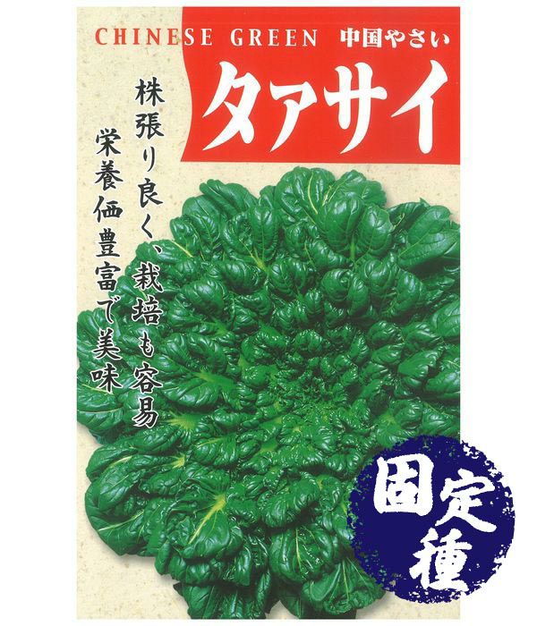 タァサイ（中国野菜の種）【固定種】|固定種 在来種に強い 野菜のタネ