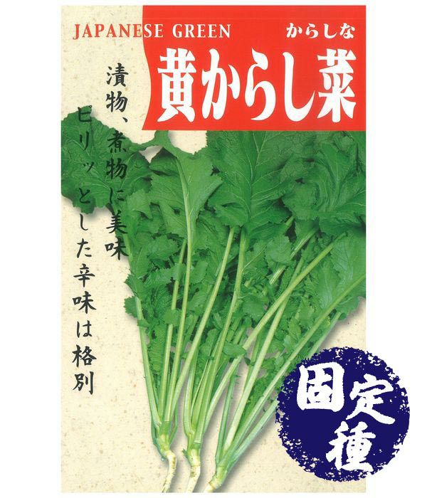 からし菜・高菜|固定種 在来種に強い 野菜のタネ専門通販サイト|アサヒ