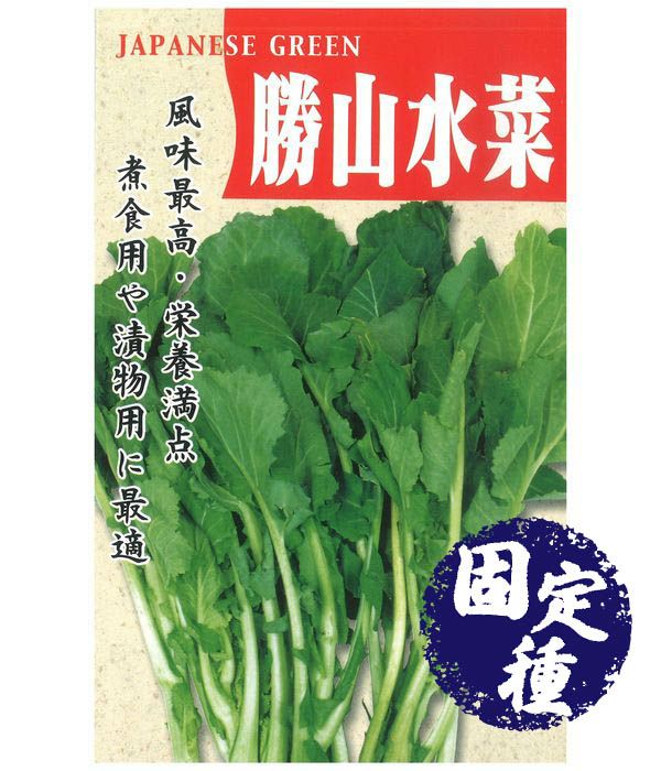勝山水菜（菜類の種）【固定種】|固定種 在来種に強い 野菜のタネ専門