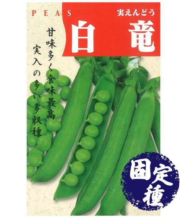 白竜実豌豆（実エンドウの種）【固定種】|固定種 在来種に強い 野菜の