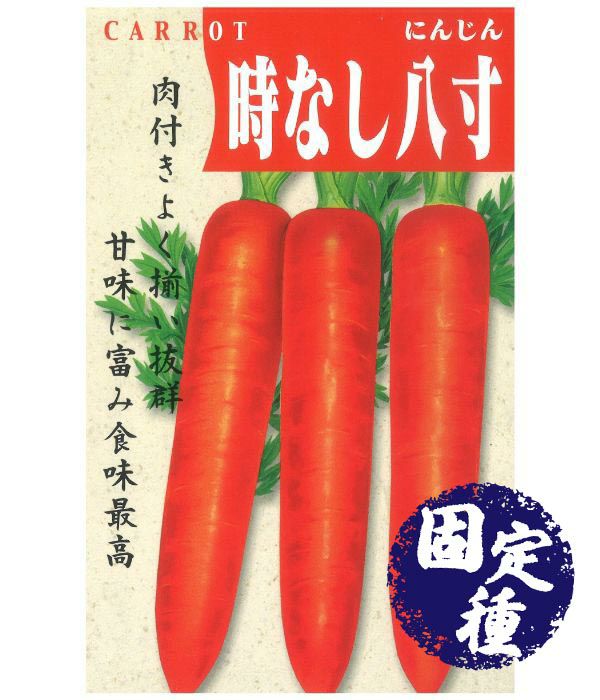 冬にんじんの種‼️ 人参栽培について（冬に収穫する場合） | ぱたぱたふぁーむ
