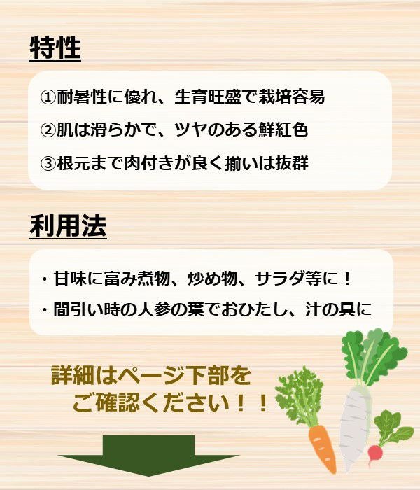 時なし八寸人参（にんじんの種）【固定種】|固定種 在来種に強い 野菜