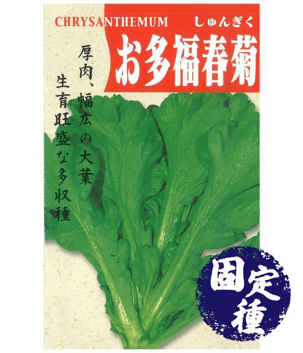 姫春菊の種１０００粒＋匿名送料無料です 000000000381-01.jpg?size=l&w=