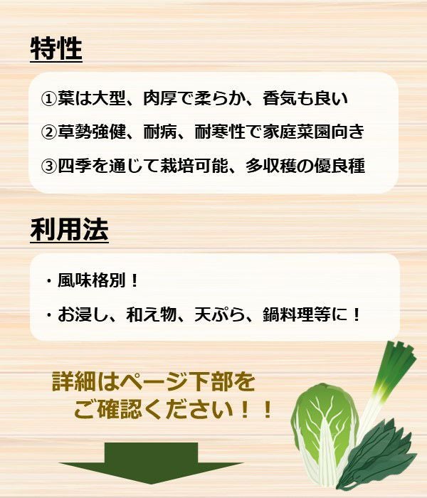 お多福春菊（シュンギクの種）【固定種】|固定種 在来種に強い 野菜の