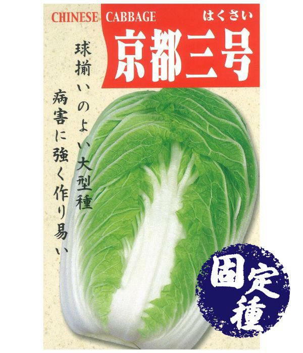 白菜　種 000000000382-01.jpg?size=l&w=