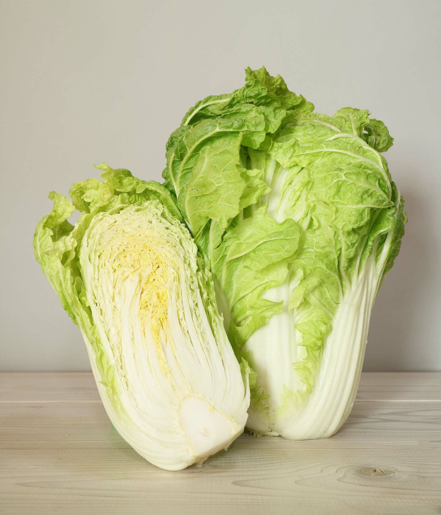 野崎二号白菜（ハクサイの種）【固定種】|固定種 在来種に強い 野菜の