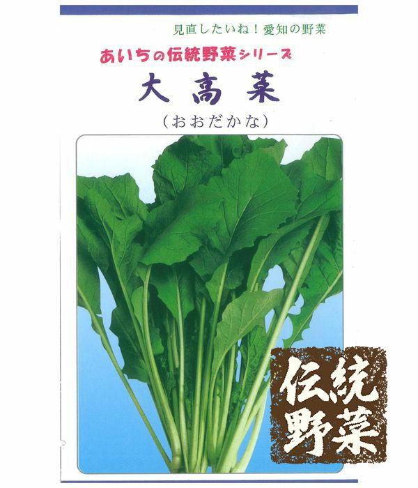 あいちの伝統野菜 大高菜|固定種 在来種に強い 野菜のタネ専門通販